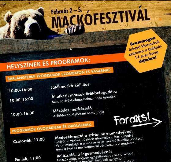 mackfesztivl